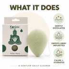 Konjac Sponge - Aloe Vera - Healing