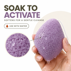Konjac Sponge - Lavender - Calming