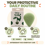 Konjac Sponge - Green Tea - Protective